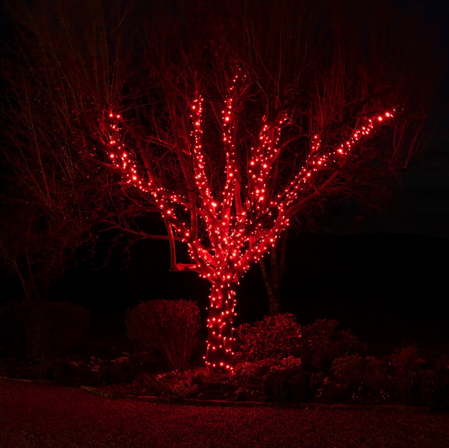Decorative LED Fairy String Light TDL-100L 10Meters- Red