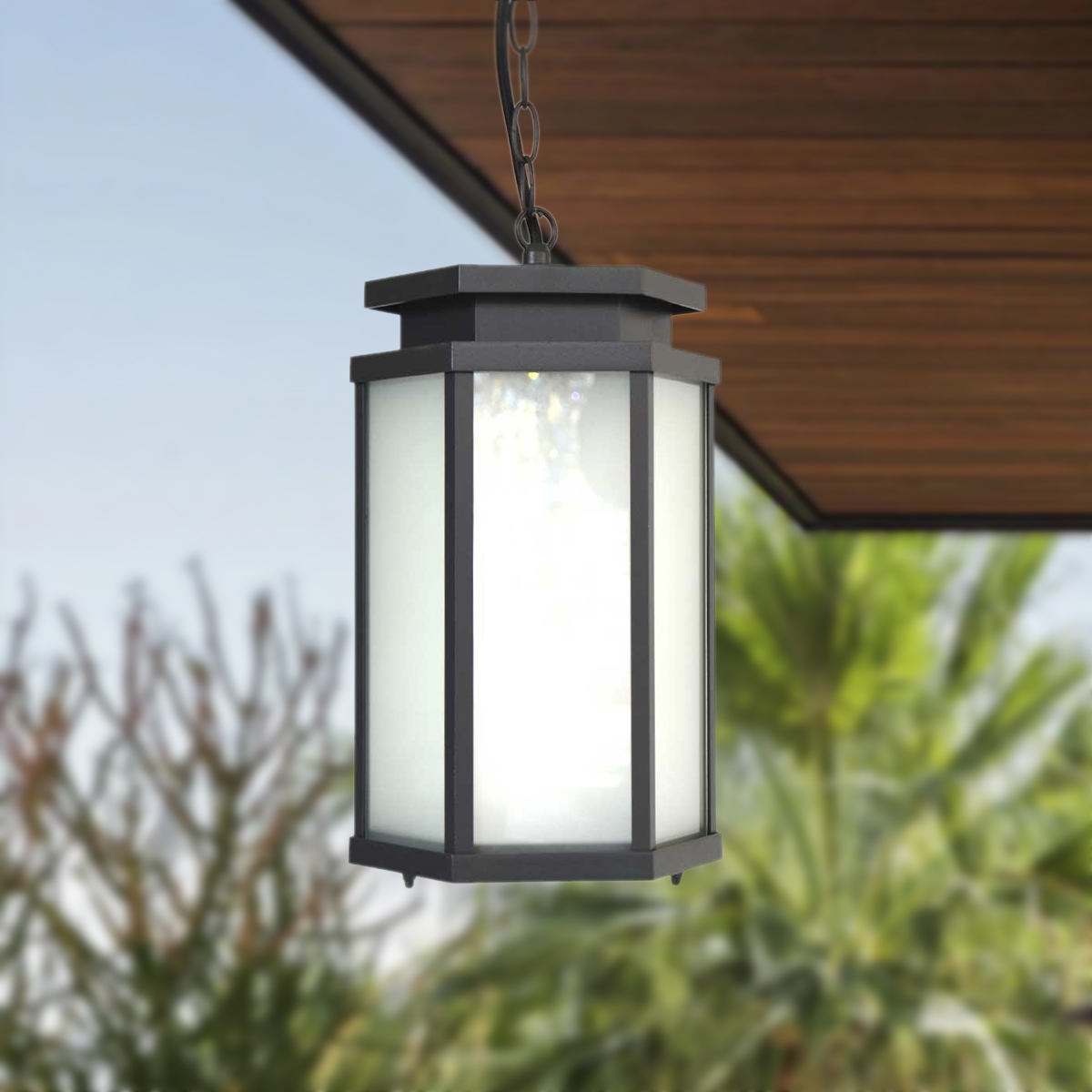 Outdoor Hanging Light 1655A - Dark Grey